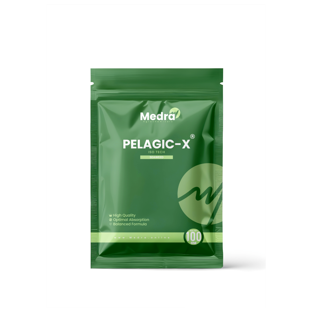 بلاجيك اكـــس ® 