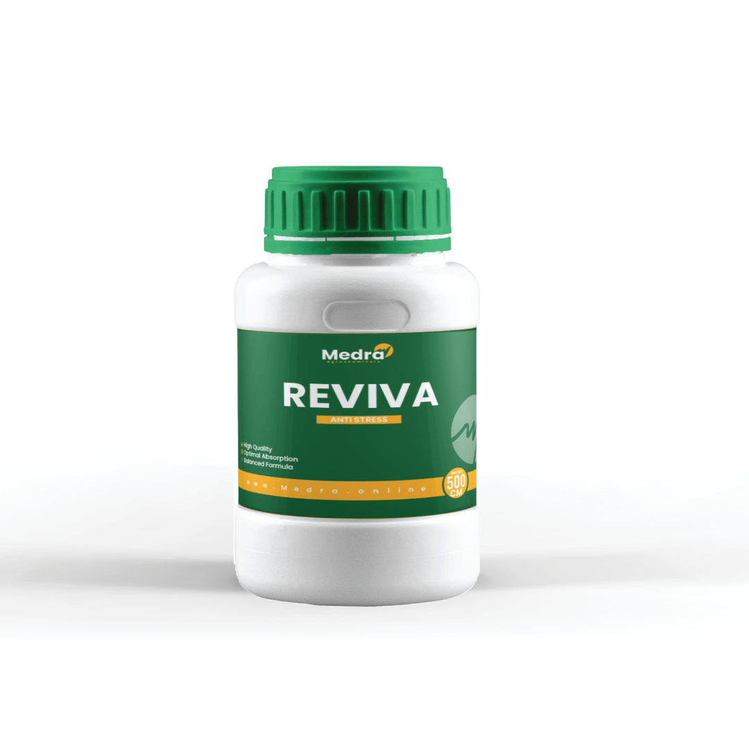 ريفيفـــــا  ®