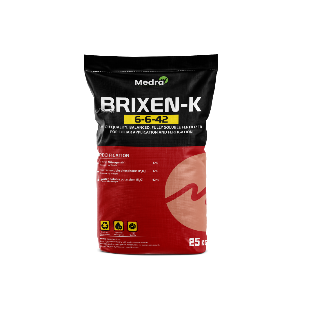 بريكسن كي 6 6 42  ®